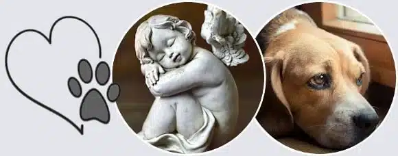 oldal-hatterkep-evkisallat-gyertya Regina Kreatív Gyertystúdió házi kedvenc gyertya gyertyák